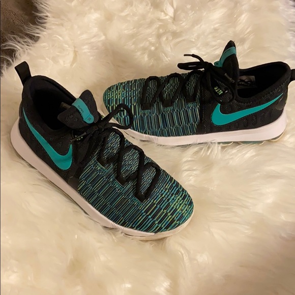 kd 9 birds of paradise